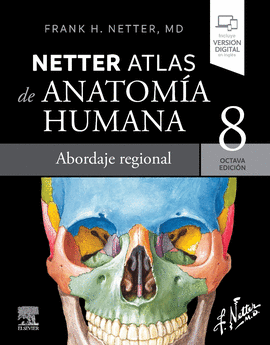 NETTER ATLAS DE ANATOMIA HUMANA ABORDAJE REGIONA
