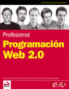 PROGRAMACION WEB 2.0 - PROFESIONAL