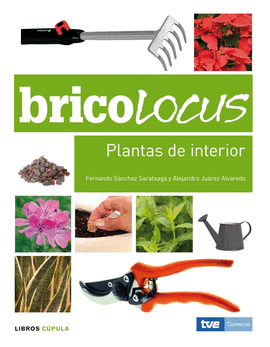PLANTAS DE INTERIOR - BRICOLOCUS