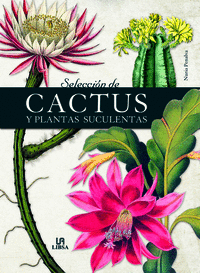 SELECCION DE CACTUS Y PLANTAS SUCULENTAS