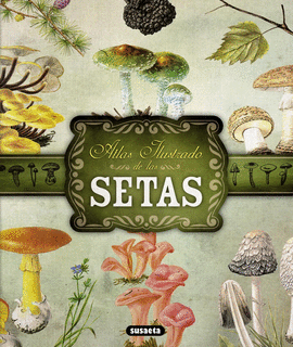 SETAS - ATLAS ILUSTRADO