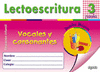 V3 LECTOESCRITURA VOCALES CONSONANTES PAUTA DUENDES MAGICOS