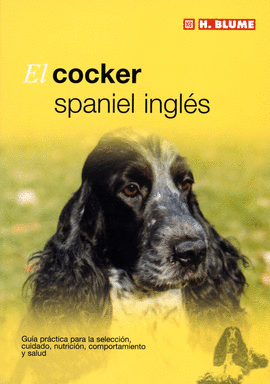 COCKER SPANIEL INGLES - H BLUME