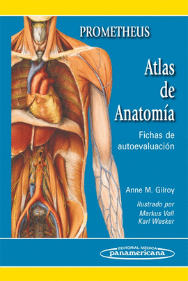 ATLAS DE ANATOMA
