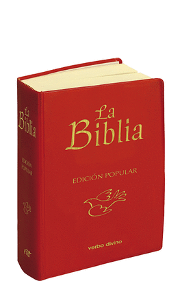 LA BIBLIA - EDICION POPULAR-PLASTICO