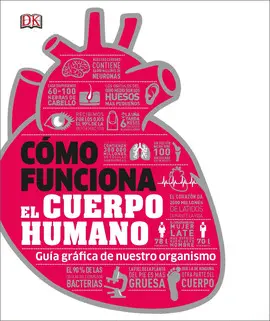 COMO FUNCIONA EL CUERPO HUMANO COMO FUNCIONA EL CUERPO HUMANO