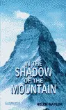 IN THE SHADOW OF THE MOUNTAIN 5