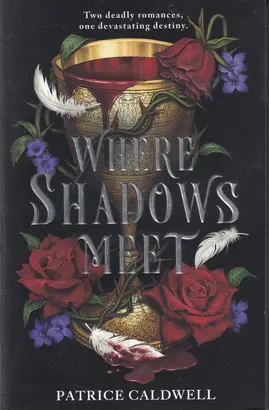 WHERE SHADOWS MEET