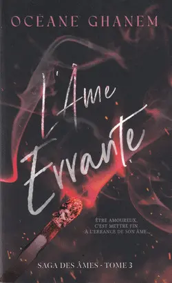 L'AME ERRANTE TOME 1