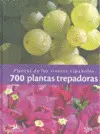 700 PLANTAS TREPADORAS. PLANTAS DE LOS VIVEROS ESPAÑOLES