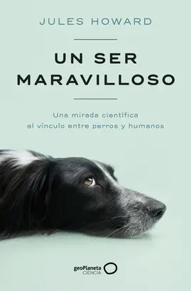 UN SER MARAVILLOSO UN SER MARAVILLOSO