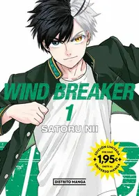 WIND BREAKER 1 (UNIVERSO MANGA)