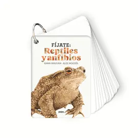 Fíjate: Reptiles y Anfibios