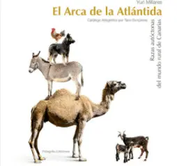 EL ARCA DE LA ATLANTIDA