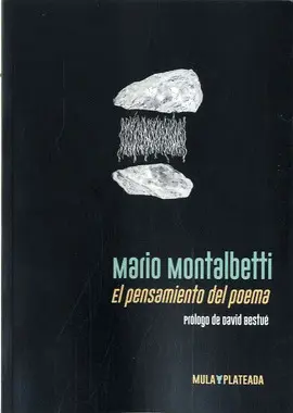 EL PENSAMIENTO DEL POEMA