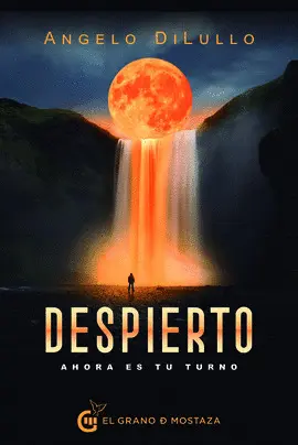 DESPIERTO DESPIERTO