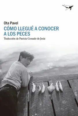 COMO LLEGUÉ A CONOCER A LOS PECES COMO LLEGUÉ A CONOCER A LOS PECES