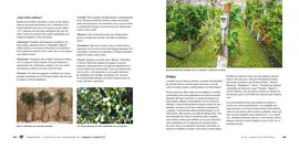 JARDINERÍA Y HORTICULTURA ADAPTADAS AL CAMBIO CLIMÁTICO JARDINERÍA Y HORTICULTURA ADAPTADAS AL CAMBIO CLIMÁTICO