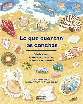 LO QUE CUENTAN LAS CONCHAS LO QUE CUENTAN LAS CONCHAS