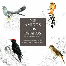 MIS AMIGOS LOS PÁJAROS