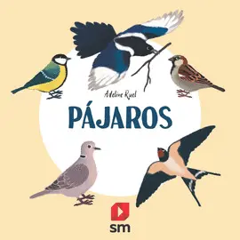 OFERTA- NATURALEZA PAJAROS