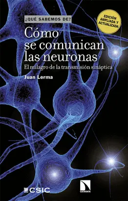 CÓMO SE COMUNICAN LAS NEURONAS CÓMO SE COMUNICAN LAS NEURONAS