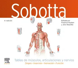 SOBOTTA TABLAS DE MUSCULOS ARTICULACIONES Y NERVIOS