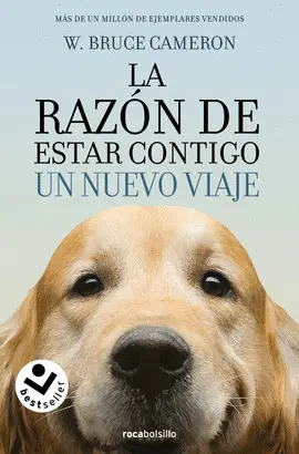 TU MEJOR AMIGO. UN NUEVO VIAJE TU MEJOR AMIGO. UN NUEVO VIAJE