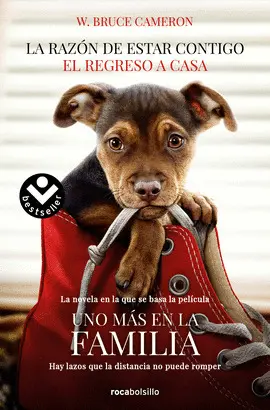 LA RAZÓN DE ESTAR CONTIGO. EL REGRESO A CASA