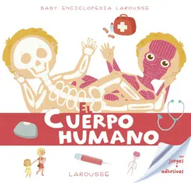 EL CUERPO HUMANO