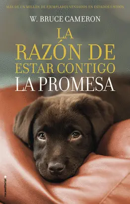 RAZON DE ESTAR CONTIGO. LA PROMESA