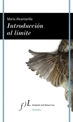 INTRODUCCION AL LÍMITE