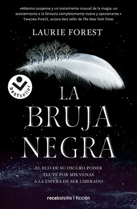 LA BRUJA NEGRA. LAS CRONICAS DE LA BRUJA 1