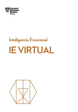 IE VIRTUAL IE VIRTUAL