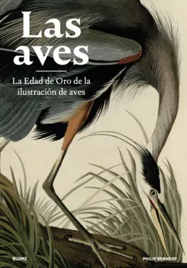LAS AVES LAS AVES
