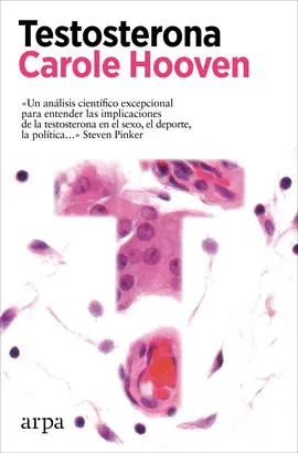 TESTOSTERONA TESTOSTERONA