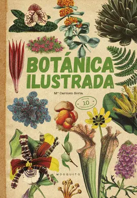 BOTÁNICA ILUSTRADA BOTÁNICA ILUSTRADA