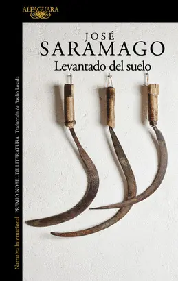 LEVANTADO DEL SUELO