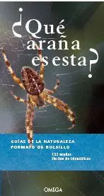 ¿QUE ARAÑA ES ESTA?