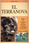 TERRANOVA, EL
