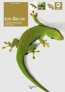 GECOS, LOS