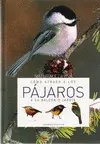COMO ATRAER A LOS PAJAROS A SU BALCON O JARDIN