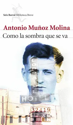 COMO LA SOMBRA QUE SE VA COMO LA SOMBRA QUE SE VA