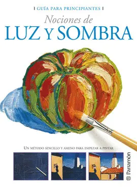 NOCIONES DE LUZ Y SOMBRA (GUIA PARA PRINCIPIANTES)