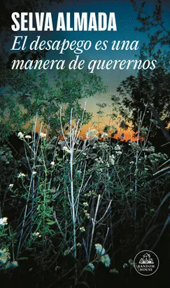EL DESAPEGO ES UNA MANERA DE QUERERNOS EL DESAPEGO ES UNA MANERA DE QUERERNOS