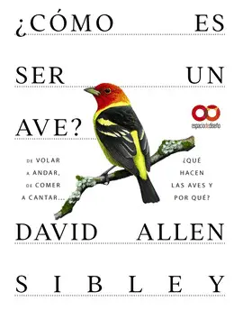 ¿CÓMO ES SER UN AVE? DE VOLAR A ANIDAR, DE COMER A CANTAR... ¿QUÉ HACEN LAS AVES ¿CÓMO ES SER UN AVE? DE VOLAR A ANIDAR, DE COMER A CANTAR... ¿QUÉ HACEN LAS AVES