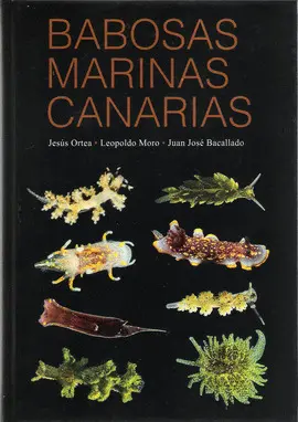 BABOSAS MARINAS CANARIAS