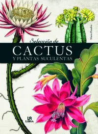 SELECCION DE CACTUS Y PLANTAS SUCULENTAS SELECCION DE CACTUS Y PLANTAS SUCULENTAS