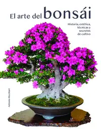 EL ARTE DEL BONSÁI