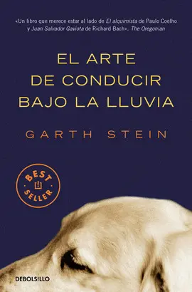 EL ARTE DE CONDUCIR BAJO LA LLUVIA
